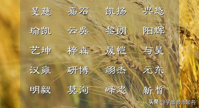 中國(guó)起名網(wǎng)姓名測(cè)試,起名網(wǎng)姓名測(cè)試打分寶寶取名？