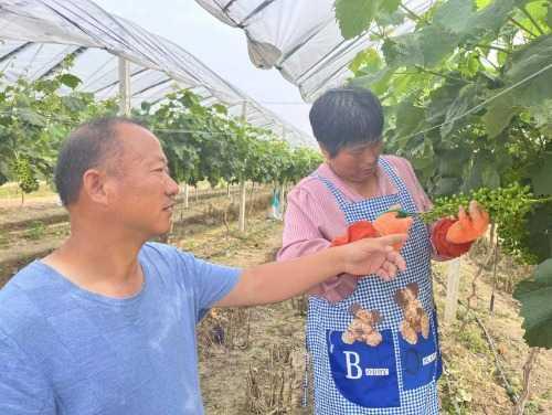 農業(yè)合作社起名,農業(yè)合作社起名大全集免費？