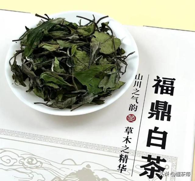 茶葉公司取名,茶葉未注冊(cè)過(guò)的好聽(tīng)的商標(biāo)名？
