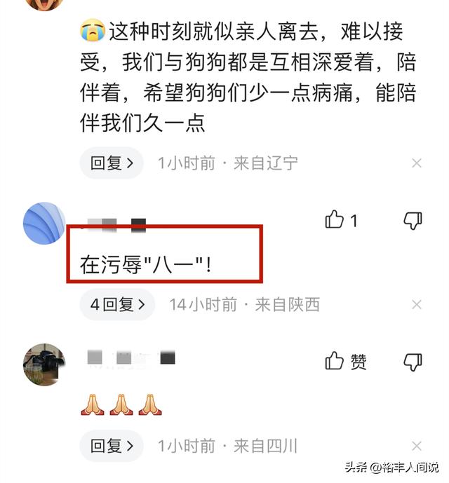 狗狗取名,狗狗取名招財又吉利的名字？