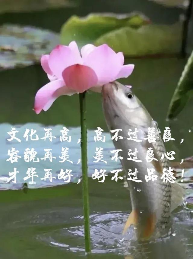 起名字大全男孩打分,男孩起名打分免費取名？