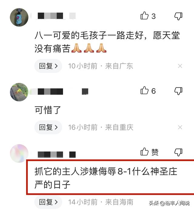 狗狗取名,狗狗取名招財又吉利的名字？