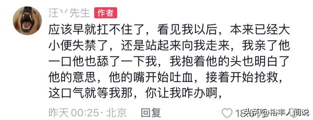 狗狗取名,狗狗取名招財又吉利的名字？