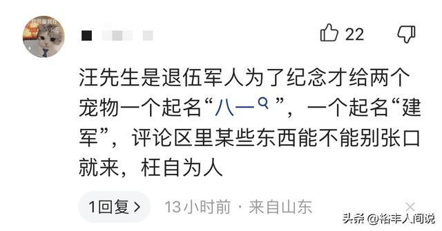 狗狗取名,狗狗取名招財又吉利的名字？